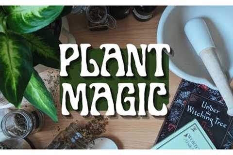 All About Herbal Magic || Wortcunning 101