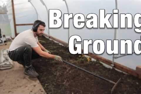 Clearing the Greenhouse & Digging the Polytunnel