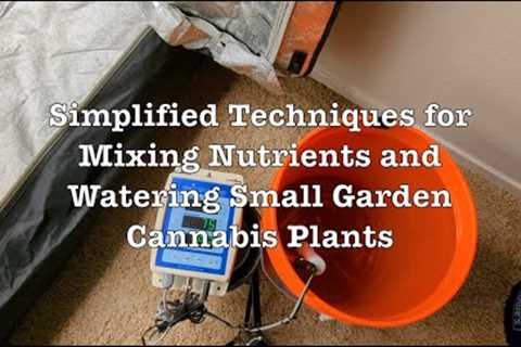 Optimal Nutrient and Water Mixing Techniques for Small Garden Cannabis Plant Growth