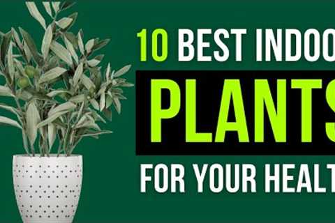 🌿 Green Thumb Guide: 10 Best Indoor Plants for Your Health 🌿