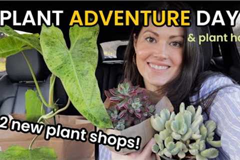 MANY $19 RARE Philodendrons! 2 New Plant Shops - Plant Shopping For Indoor Plants & Plant Haul