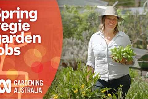 Spring vegie garden tasks to do during the hungry gap | Growing Vegies | Gardening Australia