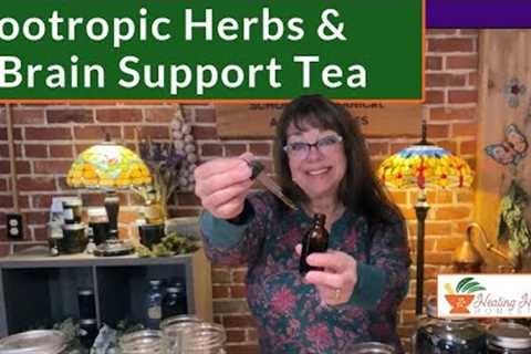 Nootropic Herbs & a Brain Support Tea or Tincture