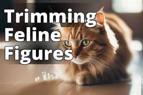 The Ultimate Guide to CBD Oil Benefits for Weight Management in Cats