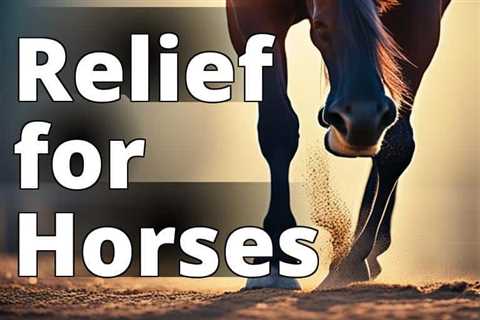 Unveiling the Remarkable Effects of CBD Oil on Inflammation in Horses: A Comprehensive Overview