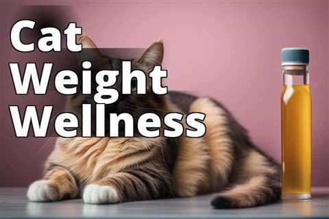 Trimming the Pounds: How CBD Oil Helps Cats with Weight Management