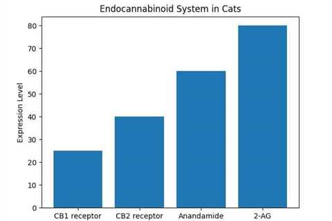 The Ultimate Guide to Using CBD Oil for Cat Weight Management