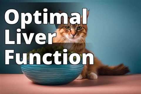 Feline Liver Health: How CBD Oil Benefits Cats and Considerations to Keep in Mind