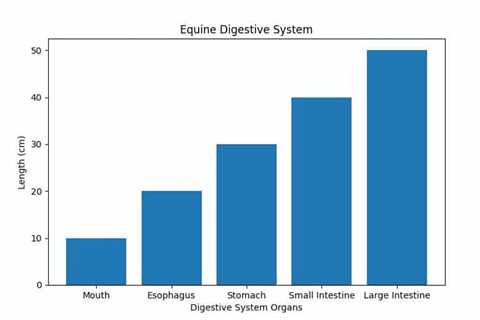 Unleash the Power of CBD Oil for Digestion in Horses: A Game-Changer