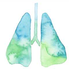 TKI Drug Plus Chemotherapy May Improve Lung Cancer Outcomes