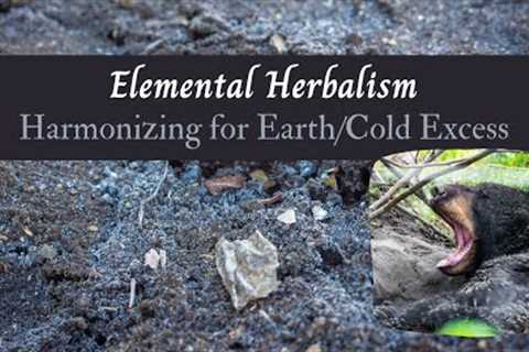 Harmonizing the Earth/Cold Energy in Elemental Herbalism