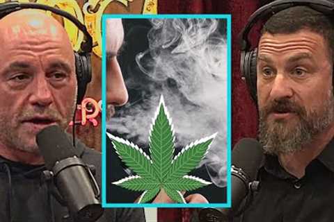 Joe Rogan and Neuroscientist Dr Huberman blow your mind about Weed and How it affects Brain and Body