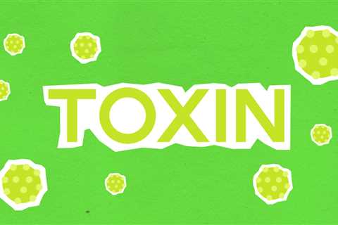 Impact of Environmental Toxins on the Body