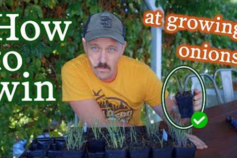 Tips for Growing Onions: What Kind to Grow, How to Transplant & Where to Plant Them