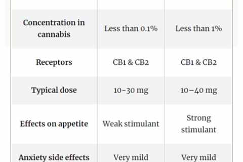 DELTA 8 THC Vs HHC: What You Need To Know Before Buying?