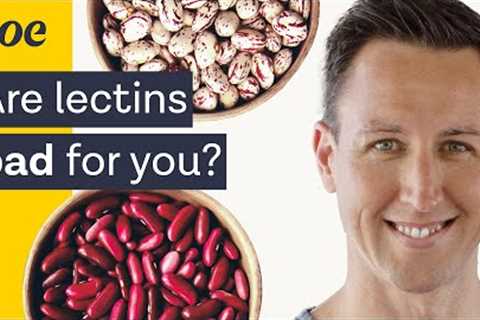 The surprising truth about lectins | Dr. Will Bulsiewicz