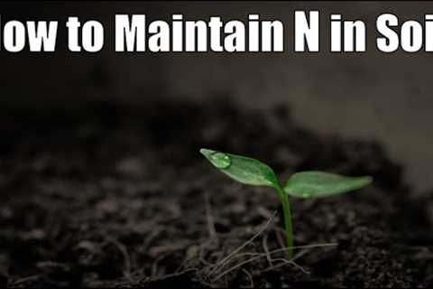 How to Maintain Nitrogen levels in Soil