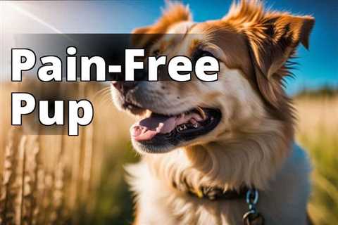 The Ultimate Guide to CBD Oil Benefits for Dogs’ Pain Relief