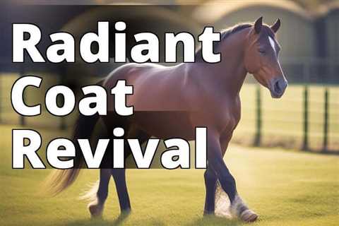 CBD Oil for Horses: The Ultimate Solution for a Shiny and Healthy Coat