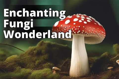 Discover the Enchanting World of Amanita Muscaria: Shop Online Now