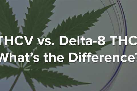 DELTA 8 THC Vs THCV: Which Is Best In 2023?