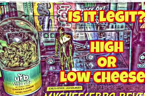 Check out my latest review! 🤘🏻🔥   MYCHEESEBRO REVIEWS: Urb’s Saucy D8 THCA THCH…