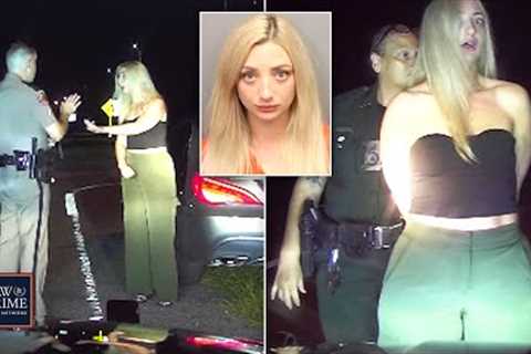 ‘You F*cking Pig’: Florida Woman Throws Tantrum, Angrily Berates Cops During DUI Arrest