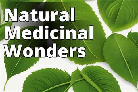 Kratom Use in Traditional Medicine: Unlocking its Healing Potential