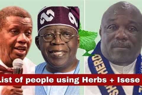 TRADITIONALIST: Finally Prophet Tibetan Revealed How Adeboye, Tinubu, Obasanjo Used Herbs. Watch..