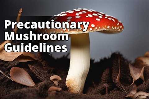 Amanita Muscaria Safety Guide: Precautions for Identification, Toxicity, and Responsible Consumption