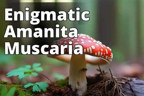 Discover the Power Within: How to Safely Purchase Amanita Muscaria