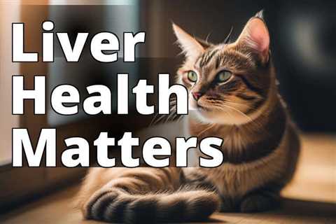 Revitalize Your Cat’s Liver Health with CBD Oil: The Ultimate Guide