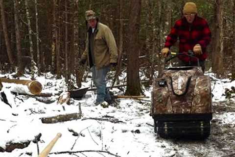 The Dawg and Droneman Get Worked Hard-Martin''s Old Off Grid Log Cabin#248