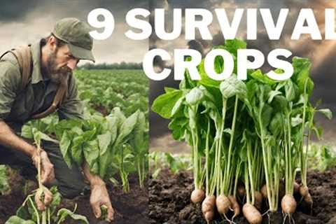 9 Survival Crops Preppers Should Grow To Be Ready For The Apocalypse