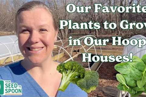 Why We Grow These Plants in Our DIY Hoop House Gardens!