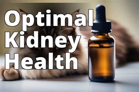 The Ultimate Guide to CBD Oil Benefits for Cats with Kidney Health Issues