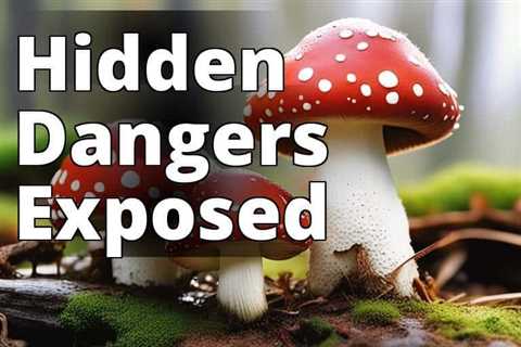 Amanita Muscaria Side Effects: Your Ultimate Guide to Health and Safety