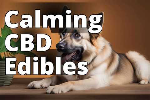 Relieve Anxiety: The Ultimate CBD Edibles for Dogs Guide