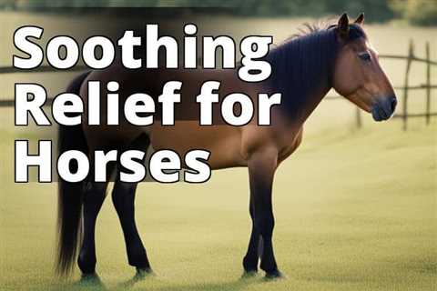 Discover the Remarkable Effects of CBD Oil for Inflammation in Horses