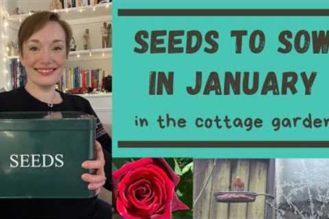 SEEDS TO SOW IN JANUARY IN THE COTTAGE GARDEN & ALLOTMENT