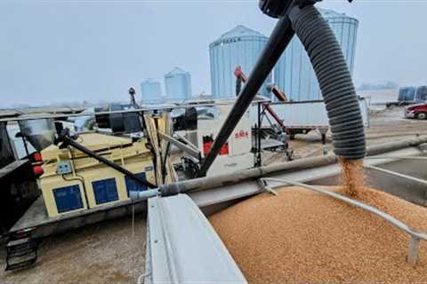 Cleaning Seed - North Farm