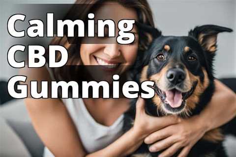 Best CBD Gummies for Dogs: Soothe Anxiety Naturally