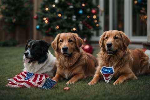 Find the Best CBD for Dogs on the 4th of July: A Guide to Keeping Them Calm and Happy