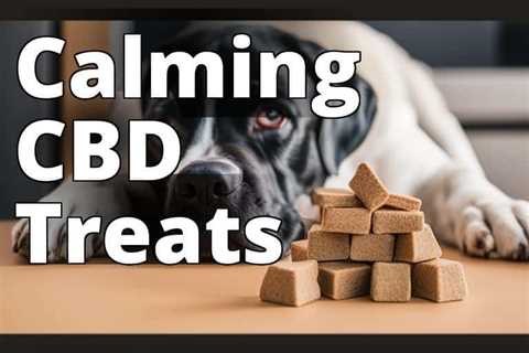 Best CBD for Anxious Pets in 2023: Your Comprehensive Guide