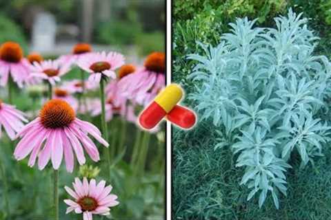 20 MEDICINAL and MIRACULOUS Plants You Should Always Have Around Your Home