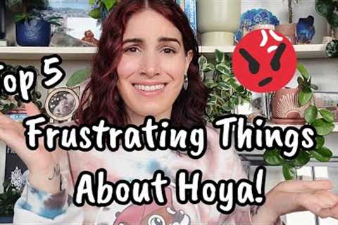 5 FRUSTRATING Things About Growing HOYA! 😬 pests, slow growth & more!! Hoya Plant Care 🌿✨️