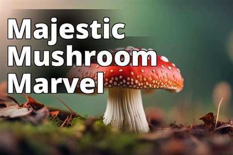 Amanita Muscaria Species: Unraveling the Enigmatic World of Fly Agaric Mushrooms