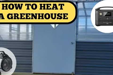 HOW TO HEAT A GREENHOUSE IN WINTER| HOW TO SET UP WITH NO ELECTRICITY | 1 ACRE FOOD FOREST