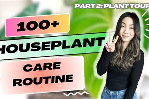 How I Care for 100+ Houseplants PART 2 | Plant Chores | Houseplant Care Routine + Tips | VLOG