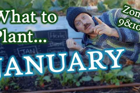 January Planting Guide for Gardeners in Zones 9 & 10